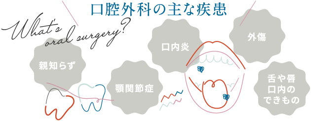 口腔外科の主な疾患 親知らず・顎関節症・口内炎・外傷・舌や唇、口内のできもの